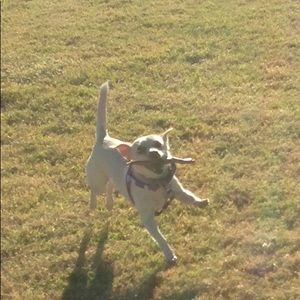 Meet your Posher, Bethany